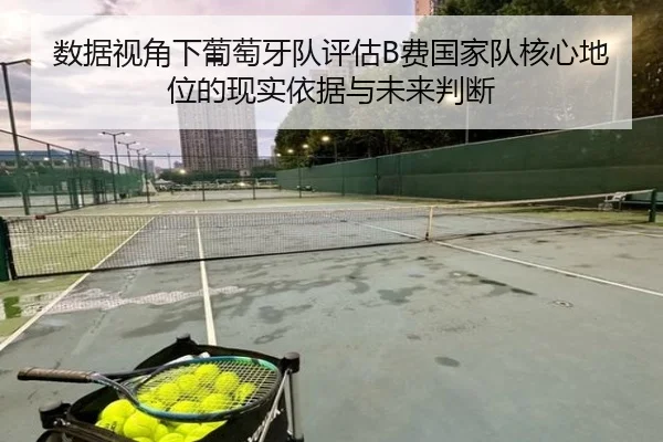 数据视角下葡萄牙队评估B费国家队核心地位的现实依据与未来判断
