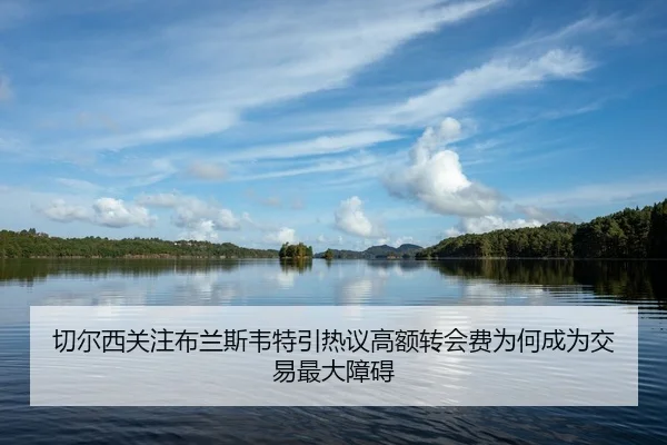 切尔西关注布兰斯韦特引热议高额转会费为何成为交易最大障碍